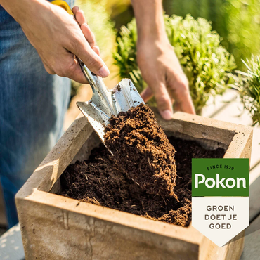 Pokon Blumenerde - 10 Liter