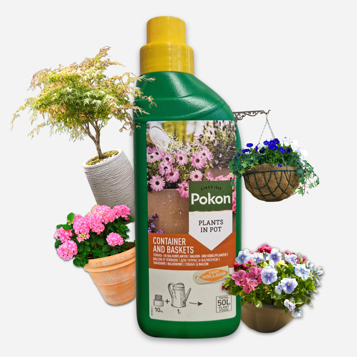 Pokon Pflanzennahrung Terrasse &amp; Balkon 500ml