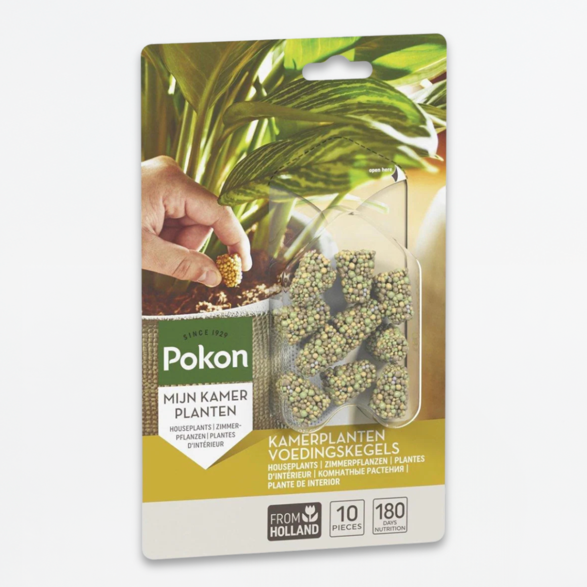 Pokon voedingskegels kamerplanten - 10 kegels