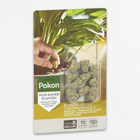Pokon voedingskegels kamerplanten - 10 kegels