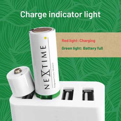 Two NeXtime Clocks USB batteries, AA size, with silver-colored metal casing and positive/negative terminals visible.