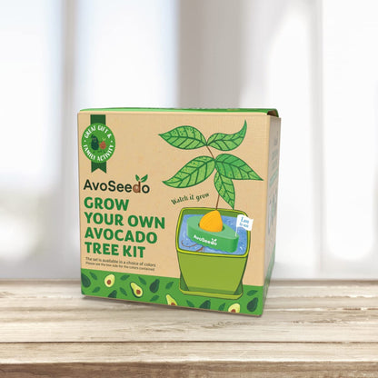 Avocado-Set – Ziehen Sie Ihre eigene Avocado an!
