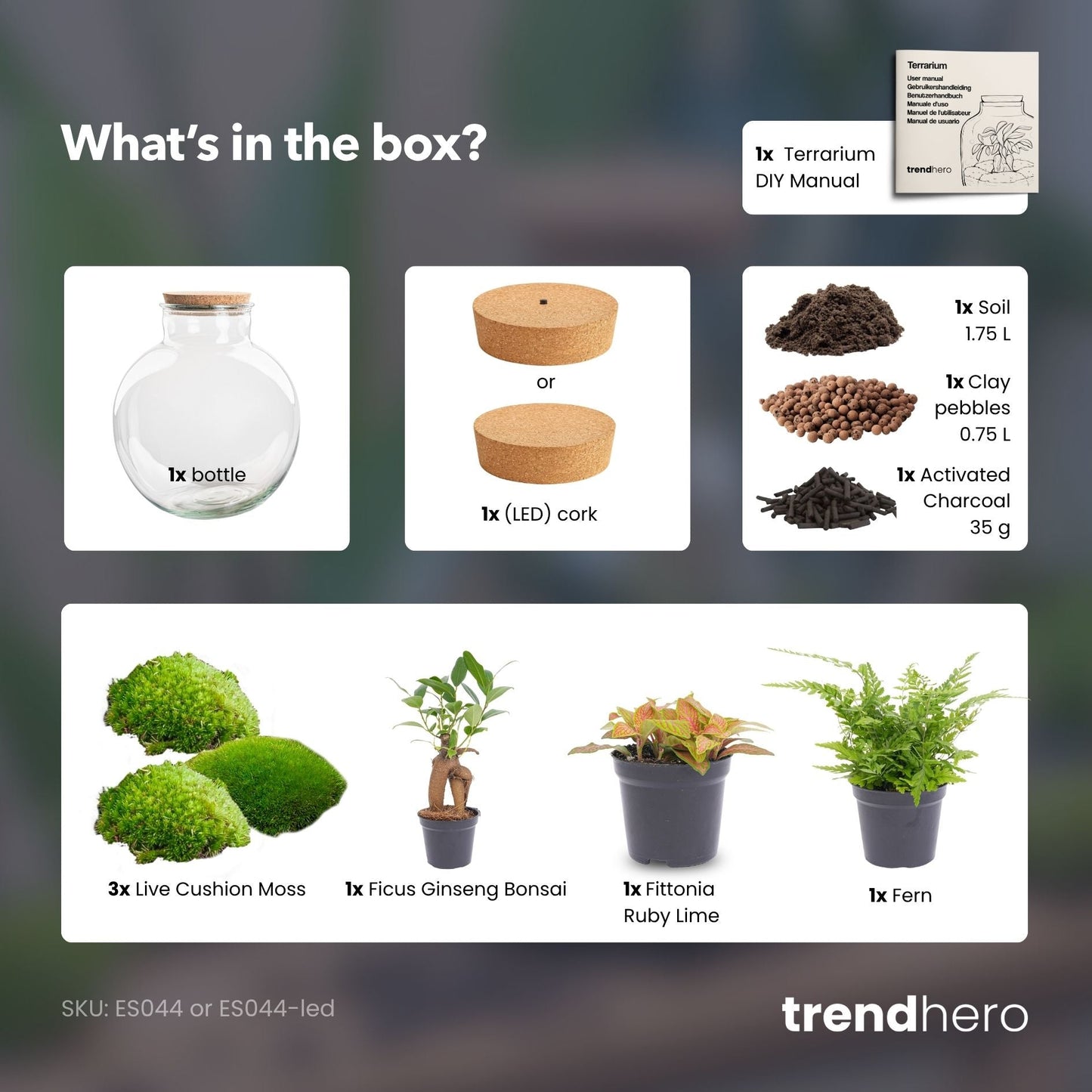 Bolder Bob Bonsai – Terrarium mit Beleuchtung – Flaschengarten-Bastelset – Ø 31 cm ↑ 30 cm 