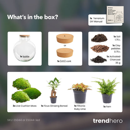 Bolder Bob Bonsai – Terrarium mit Beleuchtung – Flaschengarten-Bastelset – Ø 31 cm ↑ 30 cm 