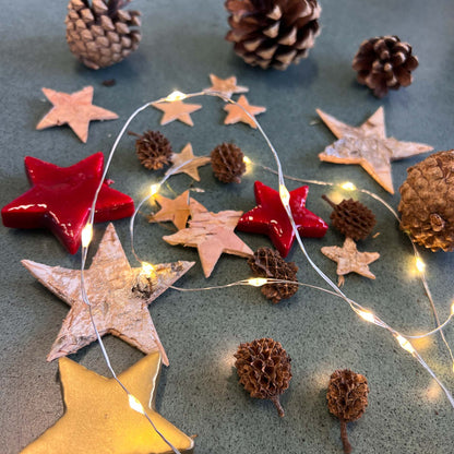 Weihnachts-Terrarium-Dekorationsset!