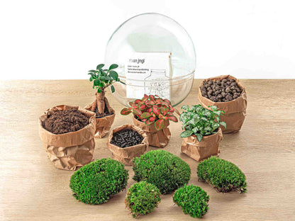 Florazo NL DIY terrarium kit with a glass dome, bonsai-style plants, and decorative elements for creating a miniature indoor garden.