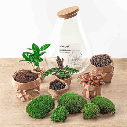Terrarium-Bastelset – Drop XXL Rot – Flaschengarten – ↑ 43 cm
