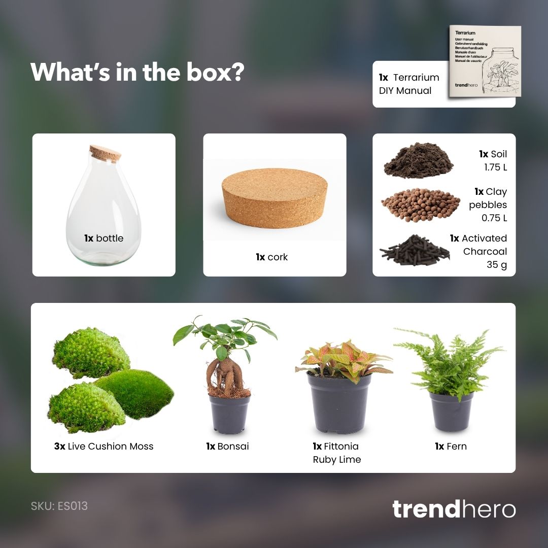 Drop XL Rot – Terrarium mit Korken – Flaschengarten-Bastelset – Ø 24 cm ↑ 37 cm