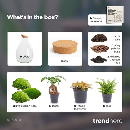 Drop XL Rot – Terrarium mit Korken – Flaschengarten-Bastelset – Ø 24 cm ↑ 37 cm