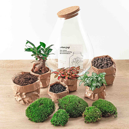 Terrarium-Bastelset – Drop XXL Bonsai – Flaschengarten – ↑ 43 cm