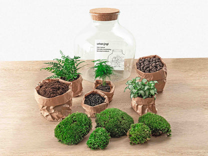 Terrarium-Bastelset – Fat Joe Green + LED-Beleuchtung – Flaschengarten – ↑ 30 cm