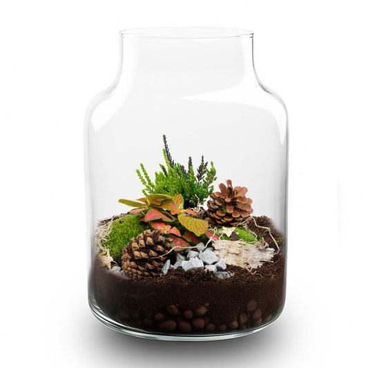 Frost Winterterrararium – Flaschengarten-Bastelset – Ø 17 cm ↑ 25 cm
