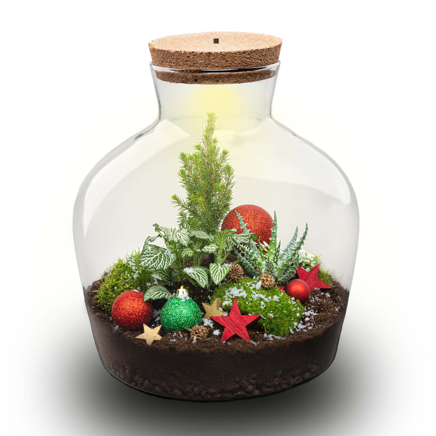 Weihnachtliches Stechpalmen-Terrarium – Flaschengarten-Bastelset – Ø 29 cm ↑ 30