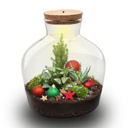 Weihnachtliches Stechpalmen-Terrarium – Flaschengarten-Bastelset – Ø 29 cm ↑ 30