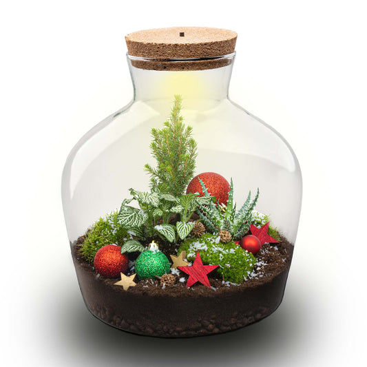 Weihnachtliches Stechpalmen-Terrarium – Flaschengarten-Bastelset – Ø 29 cm ↑ 30