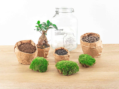 DIY Florazo NL jar terrarium kit with bonsai-style plants in a glass container, perfect for creating miniature garden displays.
