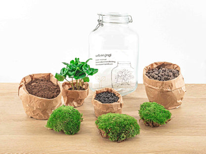 DIY Jar Terrarium Kit by Florazo NL with glass jar, plants, and decorative elements for creating a lush mini garden.