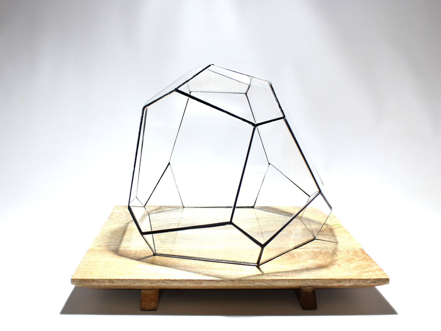 Geometrisches Terrarium – Torno – Vivarium – ↑ 28 x 26 x 24 cm (L x B x H) – Glas
