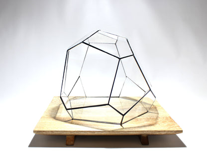 Geometrisches Terrarium – Torno – Vivarium – ↑ 28 x 26 x 24 cm (L x B x H) – Glas