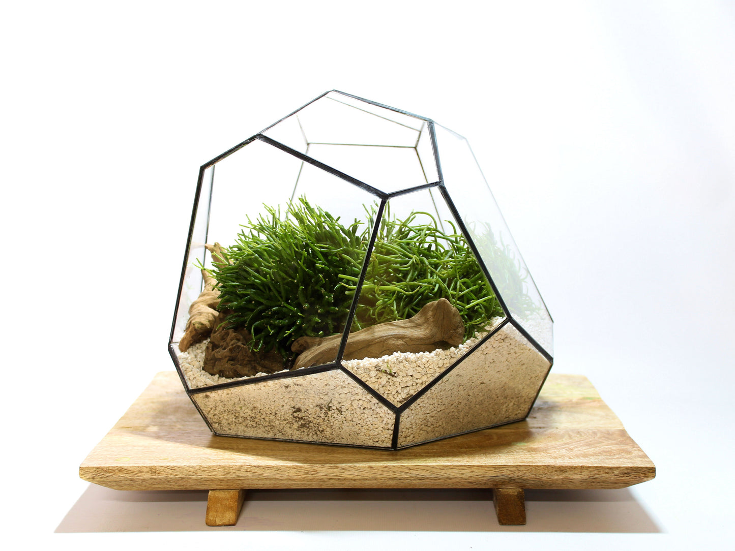 Geometrisches Terrarium – Torno – Vivarium – ↑ 28 x 26 x 24 cm (L x B x H) – Glas