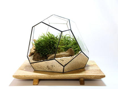 Geometrisches Terrarium – Torno – Vivarium – ↑ 28 x 26 x 24 cm (L x B x H) – Glas