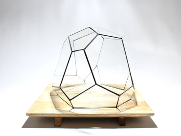 Geometrisches Terrarium – Torno – Vivarium – ↑ 28 x 26 x 24 cm (L x B x H) – Glas