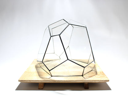 Geometrisches Terrarium – Torno – Vivarium – ↑ 28 x 26 x 24 cm (L x B x H) – Glas