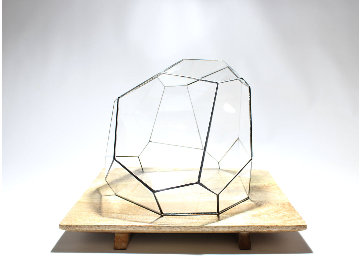 Geometrisches Terrarium – Torno – Vivarium – ↑ 28 x 26 x 24 cm (L x B x H) – Glas