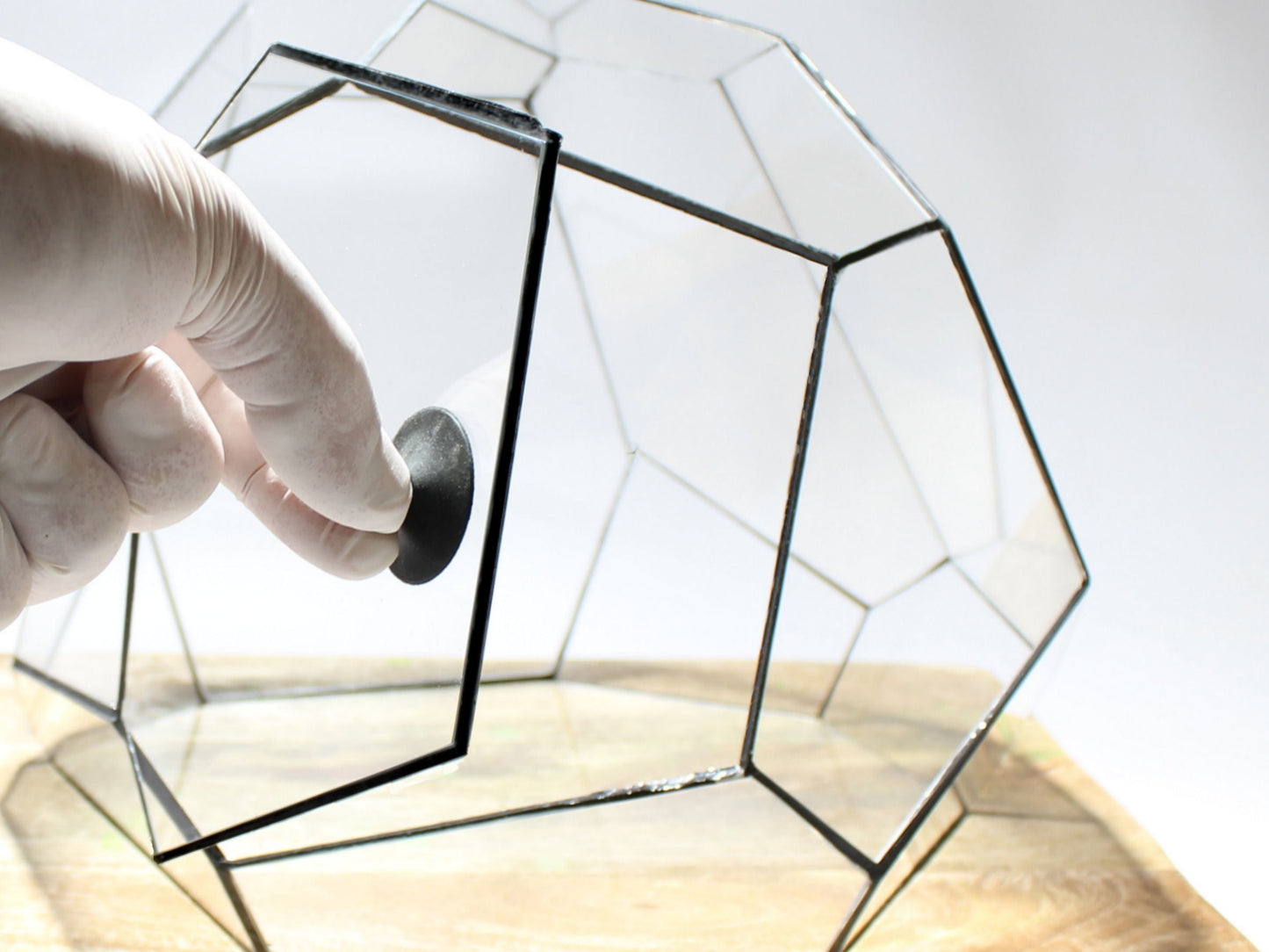 Geometrisches Terrarium – Torno – Vivarium – ↑ 28 x 26 x 24 cm (L x B x H) – Glas