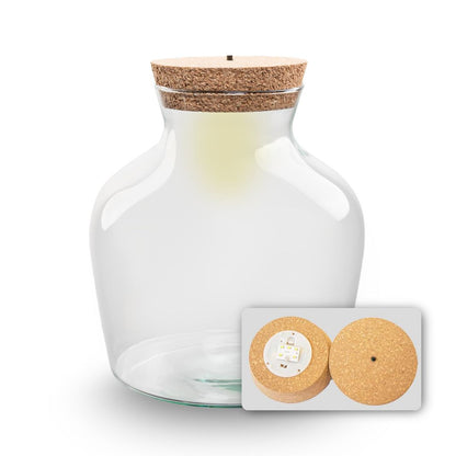 Small terrarium bottle with LED cork lighting, featuring lush greenery inside, by Florazo NL.