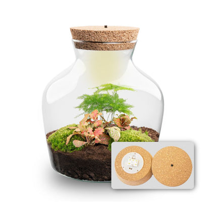 DIY terrarium kit with LED lighting by Florazo NL, featuring a glass container with plants and built-in illumination.