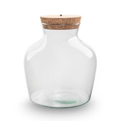 Glass terrarium bottle with LED cork lighting by Florazo NL, suitable for DIY plant arrangements and decorative displays.
