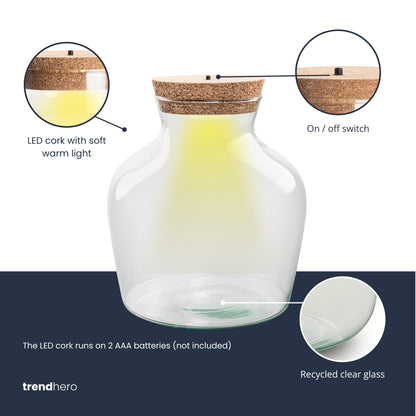 Glass terrarium bottle with LED cork from Florazo NL, showcasing a mini DIY terrarium setup with plants inside.