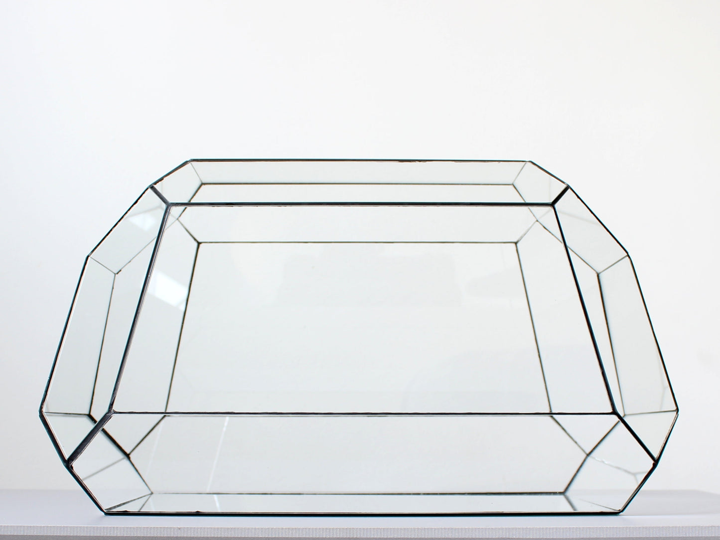 Geometrisches Terrarium – Nexus – Vivarium – ↑ 41,5 x 21 x 23,5 cm (L x B x H) – Glas