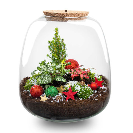 Weihnachtsterrararium mit Rudolph – Flaschengarten-Bastelset – Ø 23 cm ↑ 25 cm