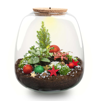 Weihnachtsterrararium mit Rudolph – Flaschengarten-Bastelset – Ø 23 cm ↑ 25 cm