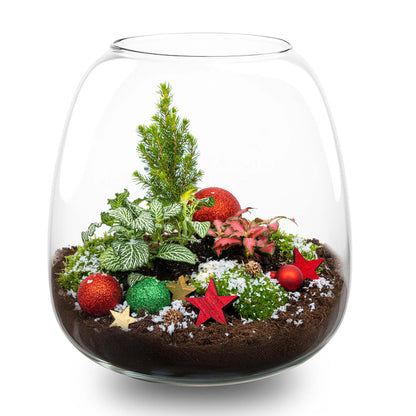 Weihnachtsterrararium mit Rudolph – Flaschengarten-Bastelset – Ø 23 cm ↑ 25 cm