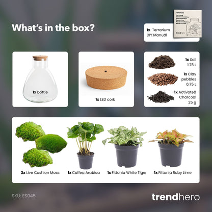 Sam Coffea – Terrarium mit Beleuchtung – Flaschengarten-Bastelset – Ø 24,5 cm ↑ 30 cm