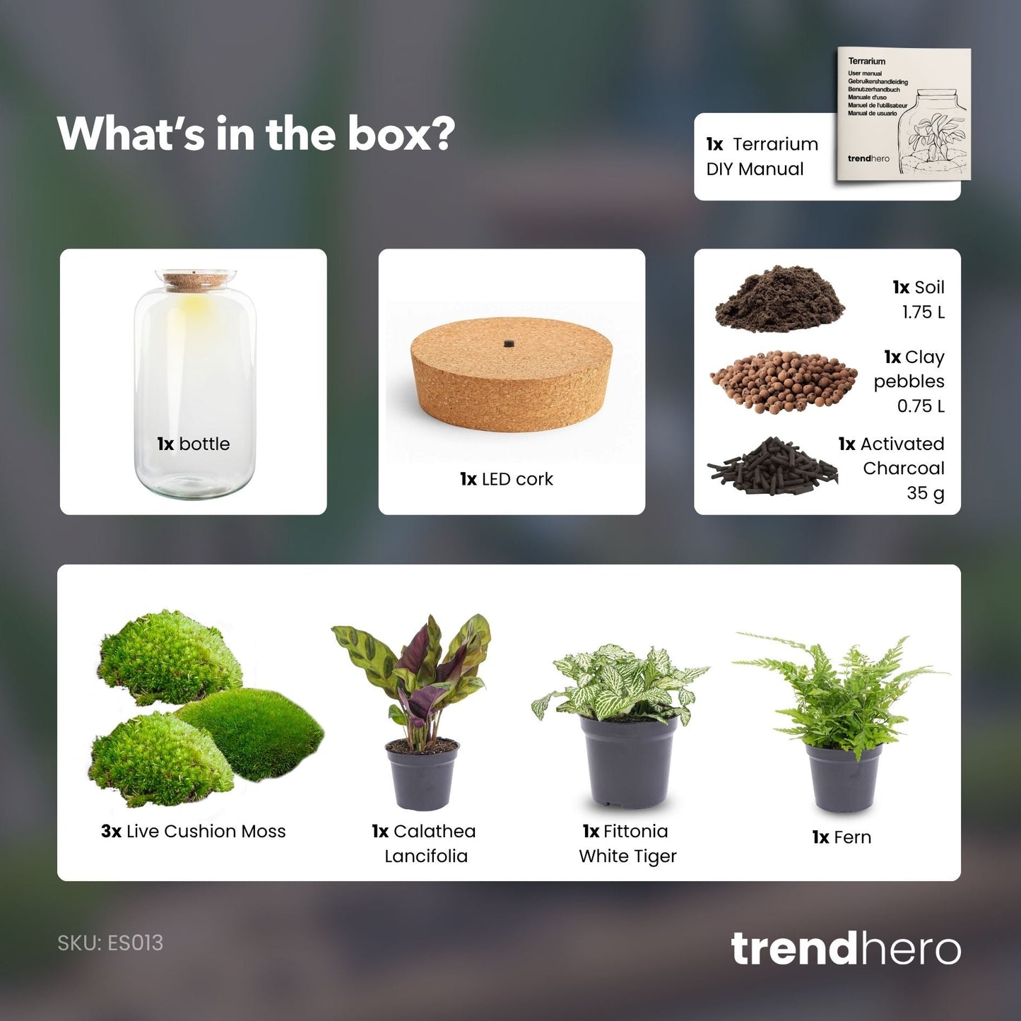 Sven XL Botanical – Terrarium mit Beleuchtung – Flaschengarten-Bastelset – Ø 23 cm ↑ 43 cm