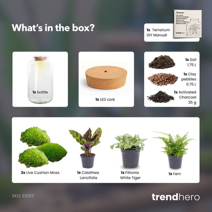 Sven XL Botanical – Terrarium mit Beleuchtung – Flaschengarten-Bastelset – Ø 23 cm ↑ 43 cm