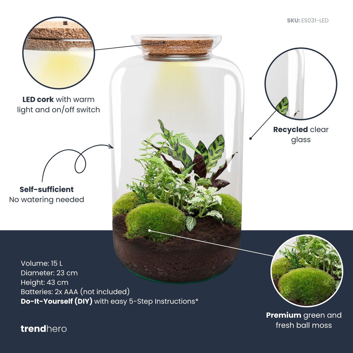 Sven XL Botanical – Terrarium mit Beleuchtung – Flaschengarten-Bastelset – Ø 23 cm ↑ 43 cm
