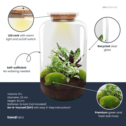 Sven XL Botanical – Terrarium mit Beleuchtung – Flaschengarten-Bastelset – Ø 23 cm ↑ 43 cm