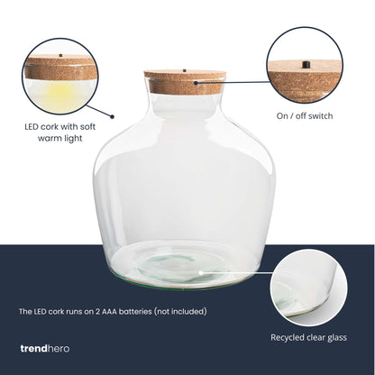 Terrarium mit Kork – Fat Joe + LED-Kork – Geschlossenes Terrarium ↑ 30 cm