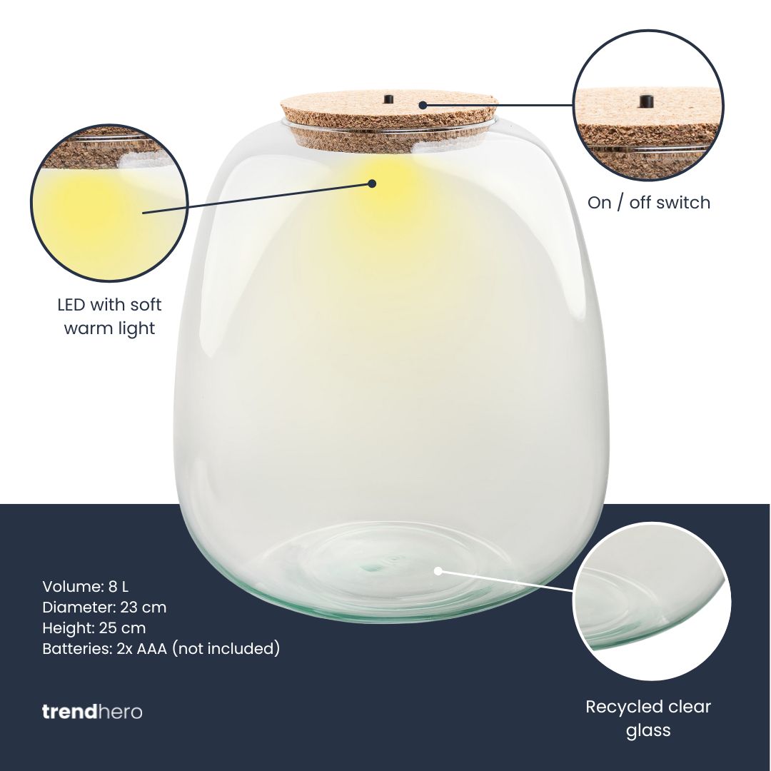 Weihnachtsterrararium mit Rudolph – Flaschengarten-Bastelset – Ø 23 cm ↑ 25 cm