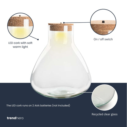 Terrarium mit Kork – Sam XL mit LED-Kork – ↑ 32 cm
