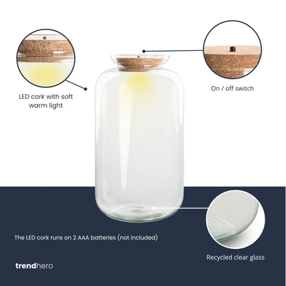 Large glass terrarium bottle with LED cork, featuring lush plants for DIY indoor garden by Florazo NL.
