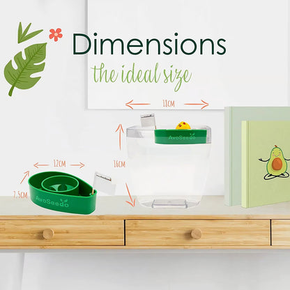 Avocado-Set – Ziehen Sie Ihre eigene Avocado an!