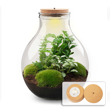 Terrarium-Bastelset – Big Paul Green XL – Flaschengarten – ↑ 40 cm