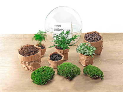 Three DIY terrariums with glass domes from Florazo NL, featuring lush green plants and natural decorative elements.