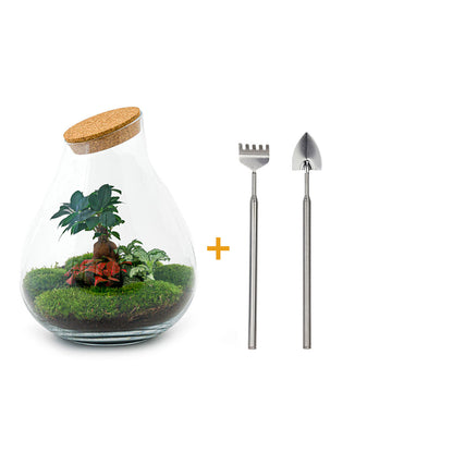 Terrarium-Bastelset – Drop XXL Bonsai – Flaschengarten – ↑ 43 cm